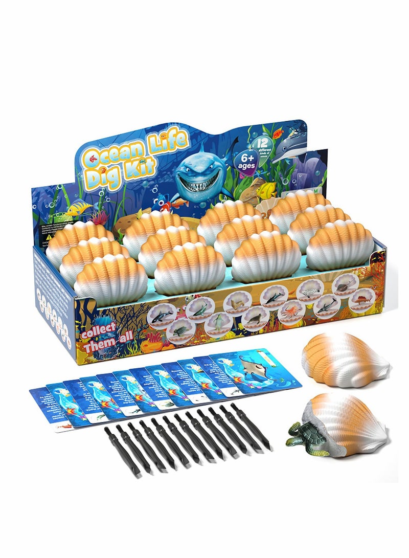 KASTWAVE Archaeological excavation toys 12 Different Fossil/Eggs with 12 Excavation Kits， Excavation Educational Science Gifts for Kids Party Archaeology Paleontology Toy (Ocean fossils) - Image 1