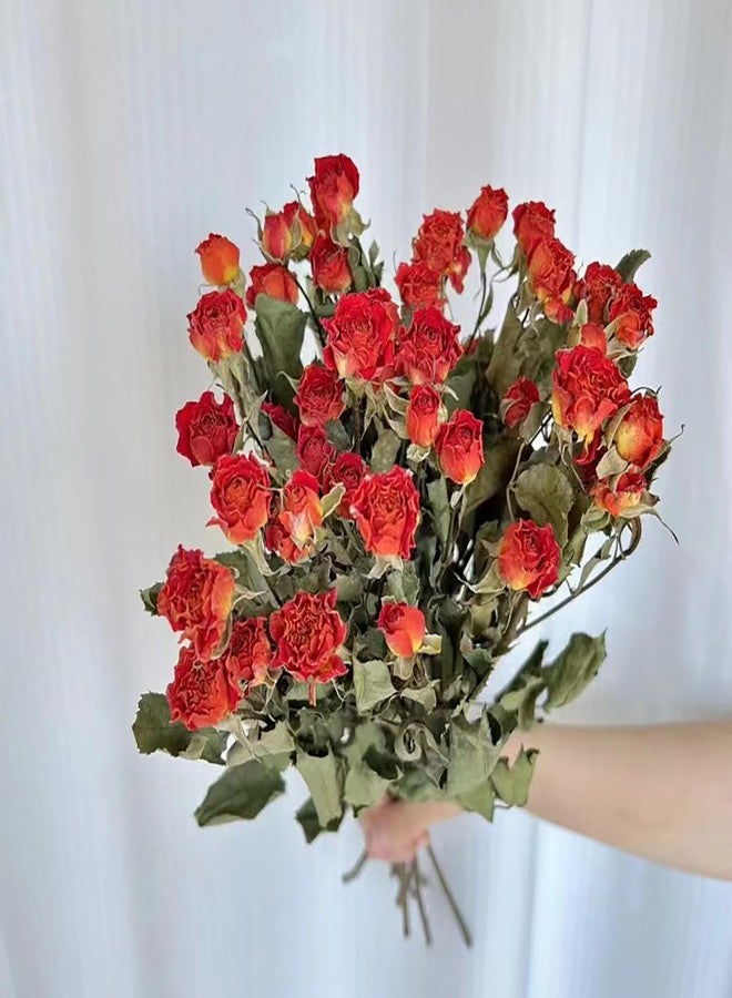 JOJAZE Natural Dried Flowers Bouquet Orange mini Dried Roses for Wedding Table Vase Decor Boho DIY Wreath Floral Home Office Party Garden Decoration - Image 3