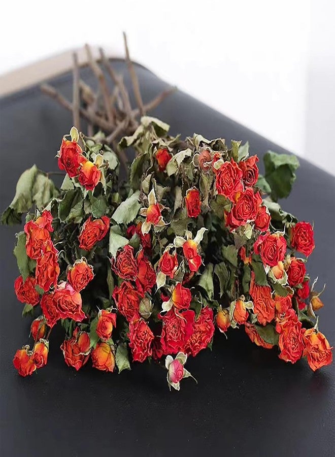JOJAZE Natural Dried Flowers Bouquet Orange mini Dried Roses for Wedding Table Vase Decor Boho DIY Wreath Floral Home Office Party Garden Decoration - Image 2
