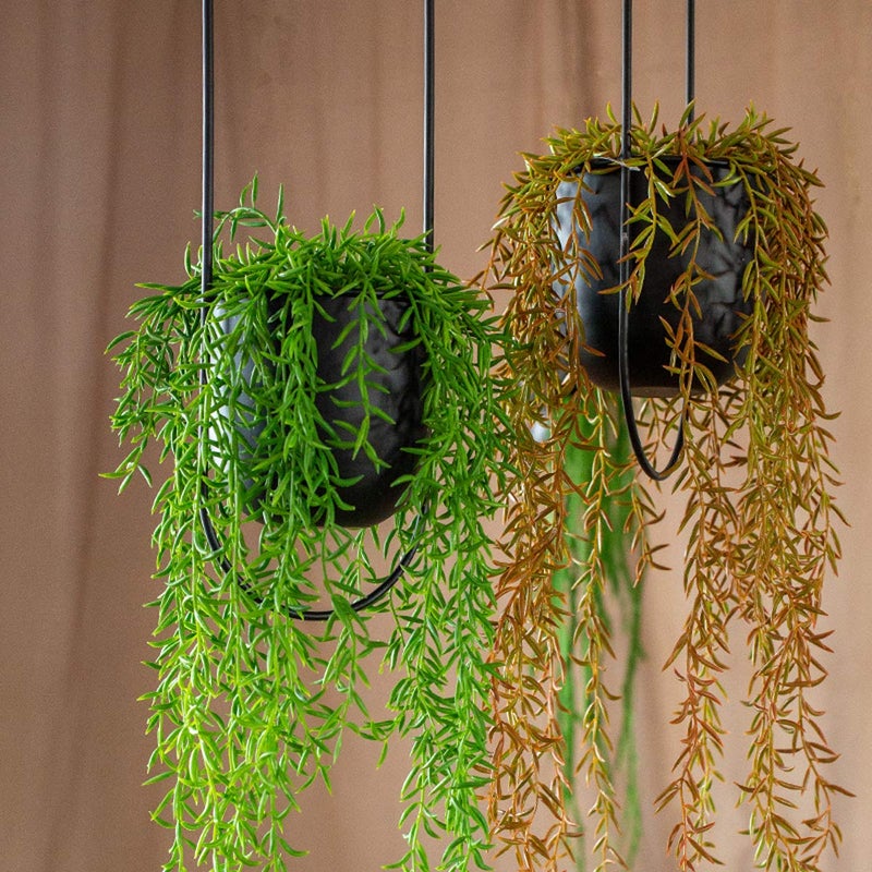 RISEON Boho Black Metal Plant Hanger,Metal Wall and Ceiling Hanging Planter, Modern Planter, Mid Century Flower Pot Plant Holder, Minimalist Planter for Indoor Outdoor Home Decor - Image 3