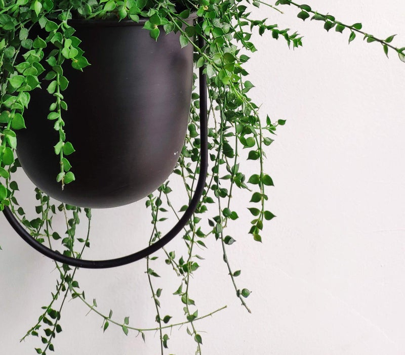 RISEON Boho Black Metal Plant Hanger,Metal Wall and Ceiling Hanging Planter, Modern Planter, Mid Century Flower Pot Plant Holder, Minimalist Planter for Indoor Outdoor Home Decor - Image 2