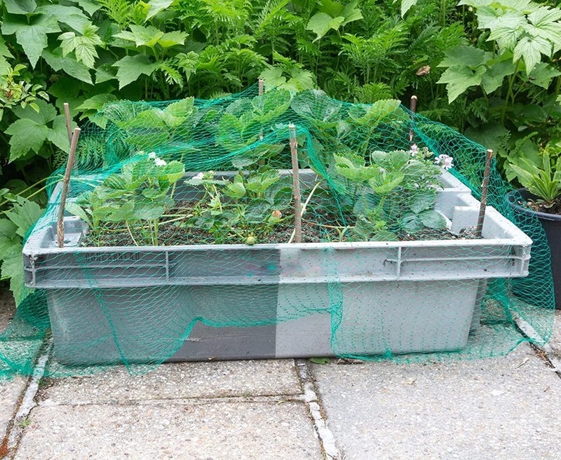 WNE Jaliwale Anti Bird Agro Net Fencing to Protect Fruit & Vegetable From Birds - Garden Plant Netting/Fruit Tree Netting (Green) 20 X 10 Ft, 200 Sq Ft - Image 5