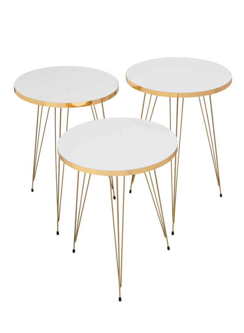 DANTA HOME 3-Piece Coffee And Tea Side Service Tables Suitable For Guest Room, Office Or Sofa Side Table - White/Gold - Image 1