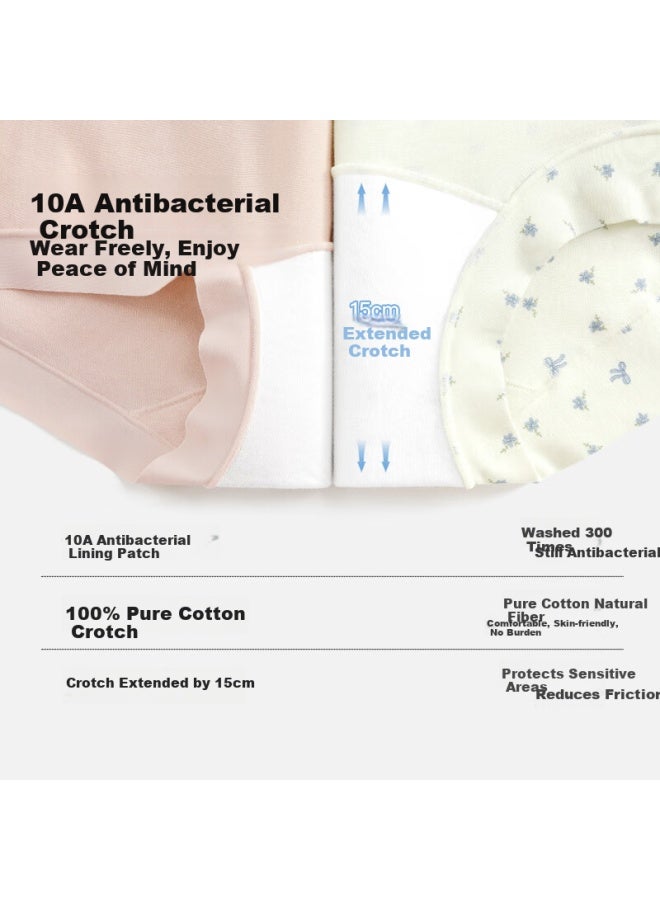 Secretworld Women's 100% Cotton Antibacterial Extended Gusset Seamless Cotton Boxer Shorts - Image 3