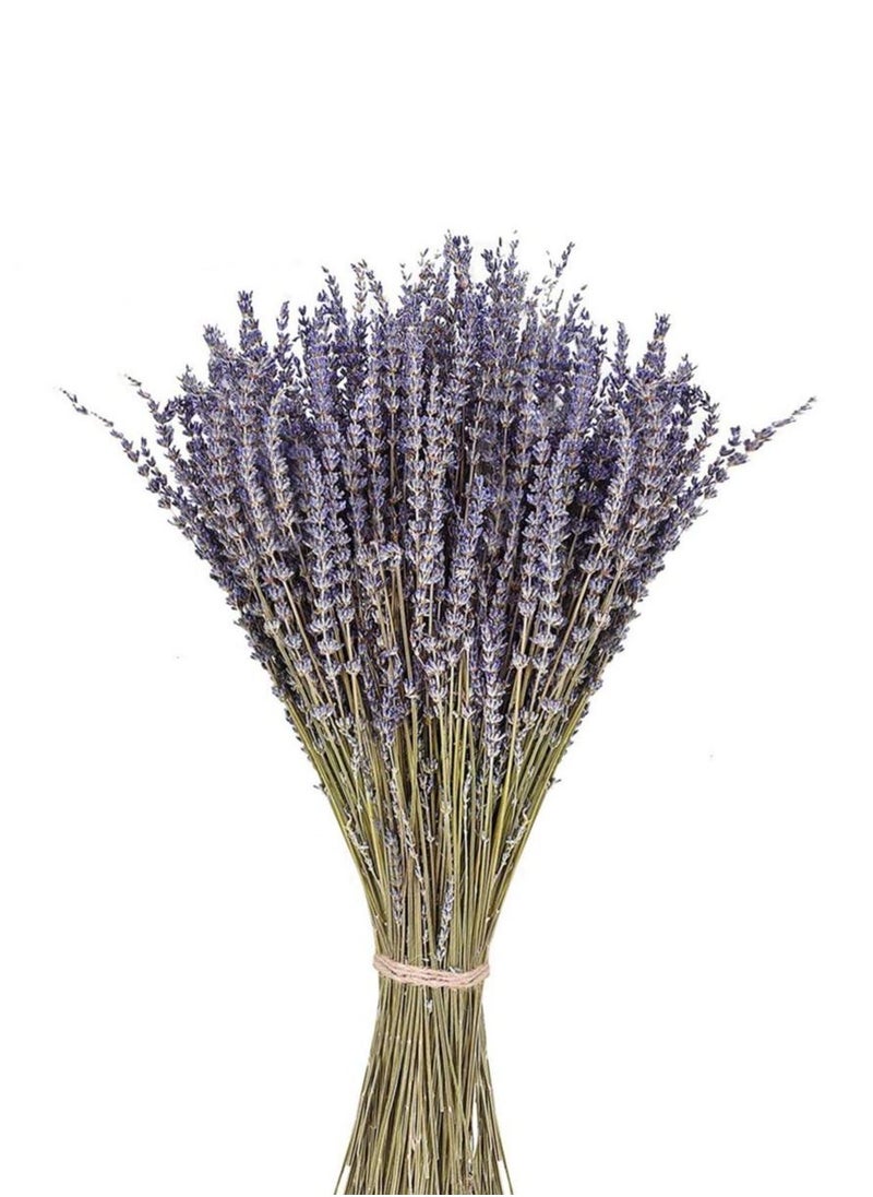 KASTWAVE Natural Dried Lavender Bouquet Decoration, 15.7 Inches Dried Flowers Bouquet for Wedding Home Office Table Kitchen Decoration (BluePurple)  - Image 1