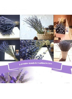 KASTWAVE Natural Dried Lavender Bouquet Decoration, 15.7 Inches Dried Flowers Bouquet for Wedding Home Office Table Kitchen Decoration (BluePurple)  - Image 4