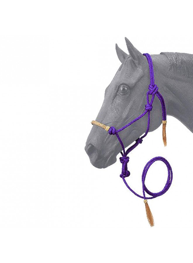 Tough 1 Tough 1 Rawhide Noseband Rope Halter with Lead, Purple, Horse  - Image 1