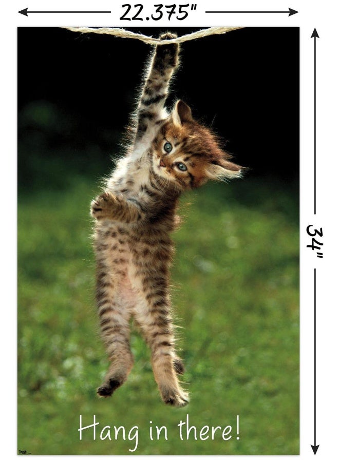 Trends International Trends International Kitten Hang In There Wall Poster 22375 x 34 Bedroom  - Image 3