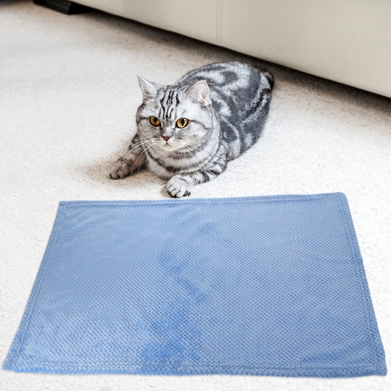 Pets Blanket Simple Warm Sleeping Mat Prcatical Comfortable Rug for Pet Cat Dog ( Size S) - Image 5