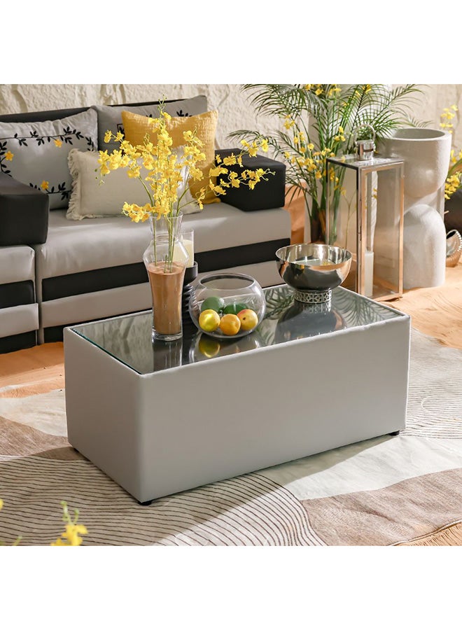 DANUBE HOME Coffee Table For Majlis |Outdoor Desk | All Weather 1 Piece Center Table | Modern Design Furniture For Balcony Outdoor Garden Bench Seating Terrace Lawn Patio Poolside - Grey - Image 4
