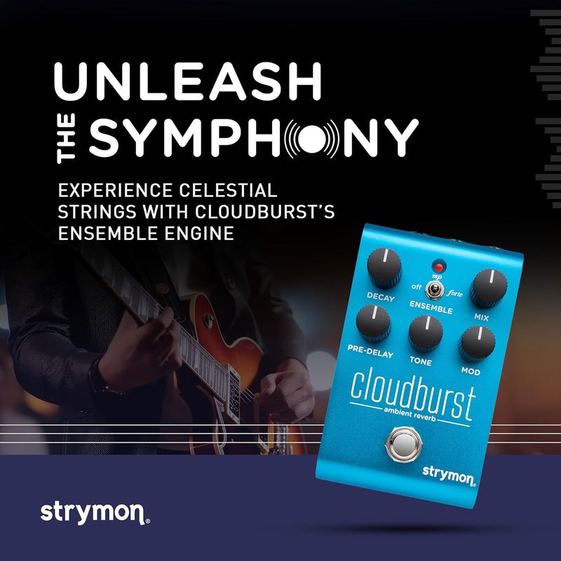 Strymon Cloudburst Ambient Reverb Pedal - Image 2