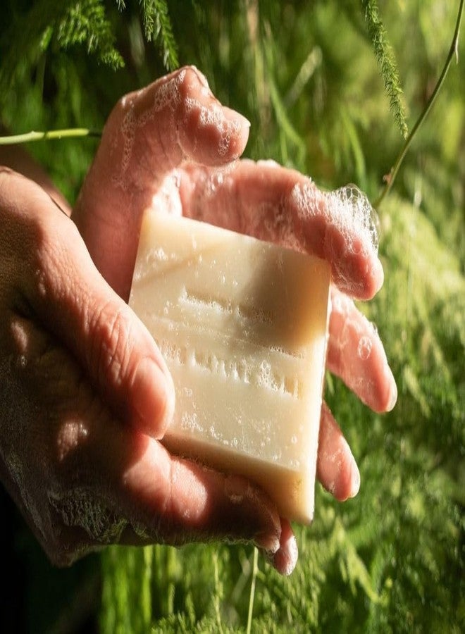 JUNIPER RIDGE Big Sur Bar Soap - Cold Processed Mild Castile Soap - Plant Based Ingredients & Steam Distilled Essential Oils - Paraben, Phthalate, Dye, Cruelty, & Preservative Free - 4oz Bar - Image 3