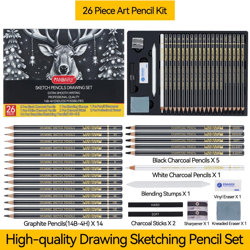 PANDAFLY 26-Piece Professional Sketch Pencil Set - Includes 4H to 14B Graphite Pencils, Charcoal Pencils, Charcoal Sticks, Vinyl Eraser, Kneaded Eraser, Sharpener, Blending Stump - Image 2
