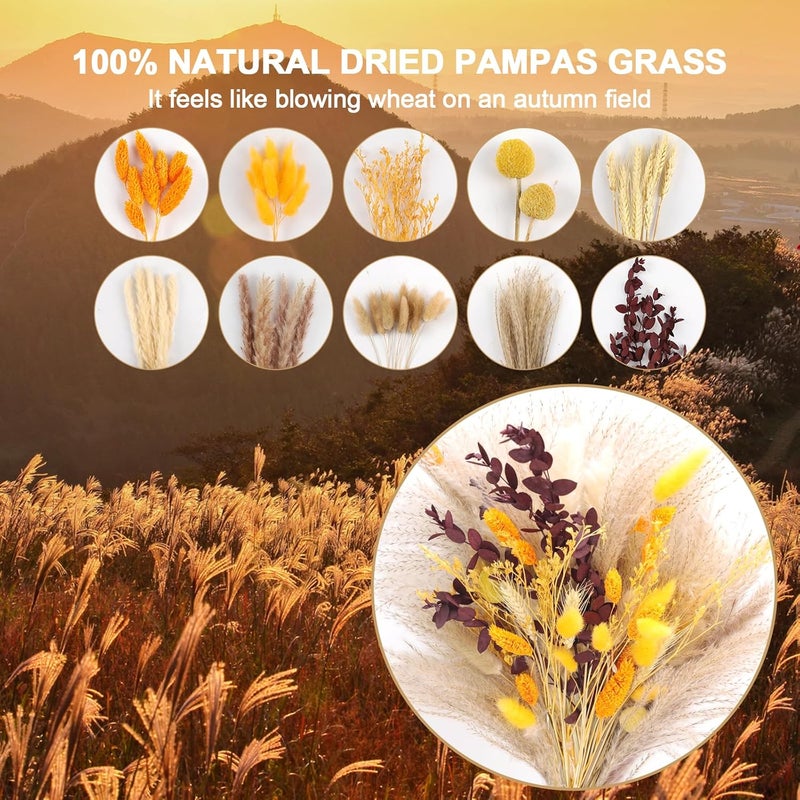 NT NIETING Fall Home Decor 104Pcs Orange Pampas Grass Autumn Dried Flowers Decorations Fluffy Gold Bouquet Fall Wedding Table Centerpieces Rustic Farmhouse Floral Fall Flowers Boho Indoor Outdoor Decor, 17Inch - Image 4