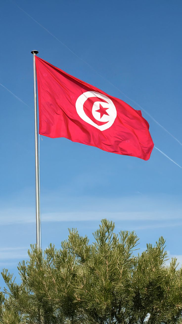 ARS Tunisia Flag - Heavy-Duty 210D Satin, Tunisia Flag for Outdoor/Indoor, Fade Resistant, Flag Day, And Home-Polyester, National Day Sport Day, FIFA World Cup, Indoor & Outdoor Use-Size Available - Image 3