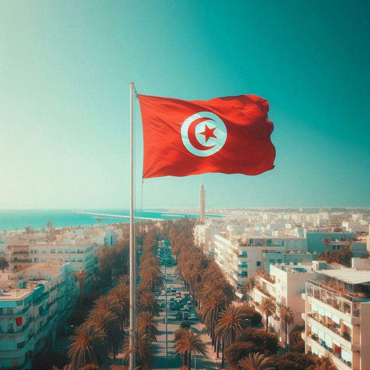 ARS Tunisia Flag - Heavy-Duty 210D Satin, Tunisia Flag for Outdoor/Indoor, Fade Resistant, Flag Day, And Home-Polyester, National Day Sport Day, FIFA World Cup, Indoor & Outdoor Use-Size Available - Image 2
