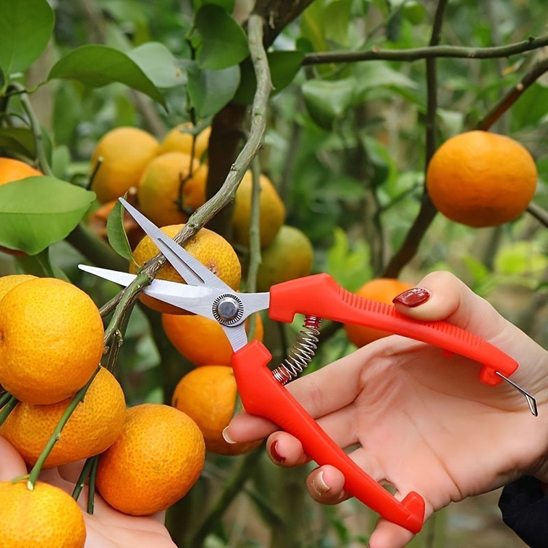 10pcs Stainless Steel Gardening Pruning Shears Thinning Scissors Fruit Picking and Floral Care Tools with Non Slip Handles for Garden Trimming - Image 2
