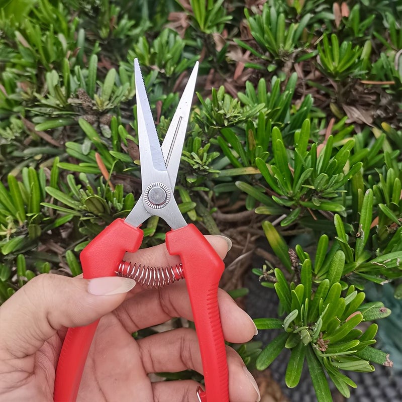 10pcs Stainless Steel Gardening Pruning Shears Thinning Scissors Fruit Picking and Floral Care Tools with Non Slip Handles for Garden Trimming - Image 4