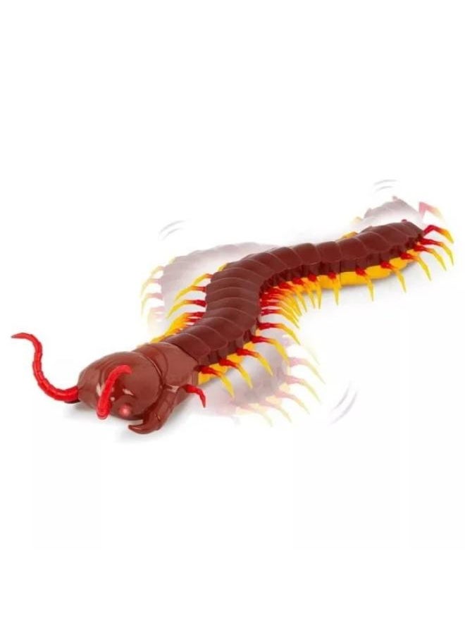 Terra - R/c Centipede - Image 1