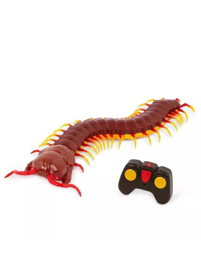 Terra - R/c Centipede - Image 1