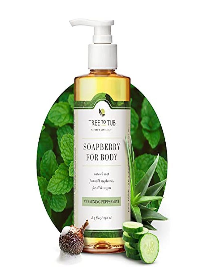 Tree to Tub Peppermint Body Wash By Tree To Tub Ph 5.5 Balanced Body Wash With Soapberries For Oily, Sensitive Skin Vegan & Cruelty Free 8.5 Oz - Image 1