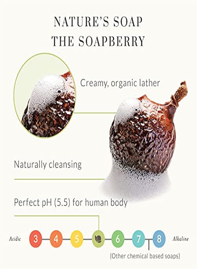 Tree to Tub Peppermint Body Wash By Tree To Tub Ph 5.5 Balanced Body Wash With Soapberries For Oily, Sensitive Skin Vegan & Cruelty Free 8.5 Oz - Image 2