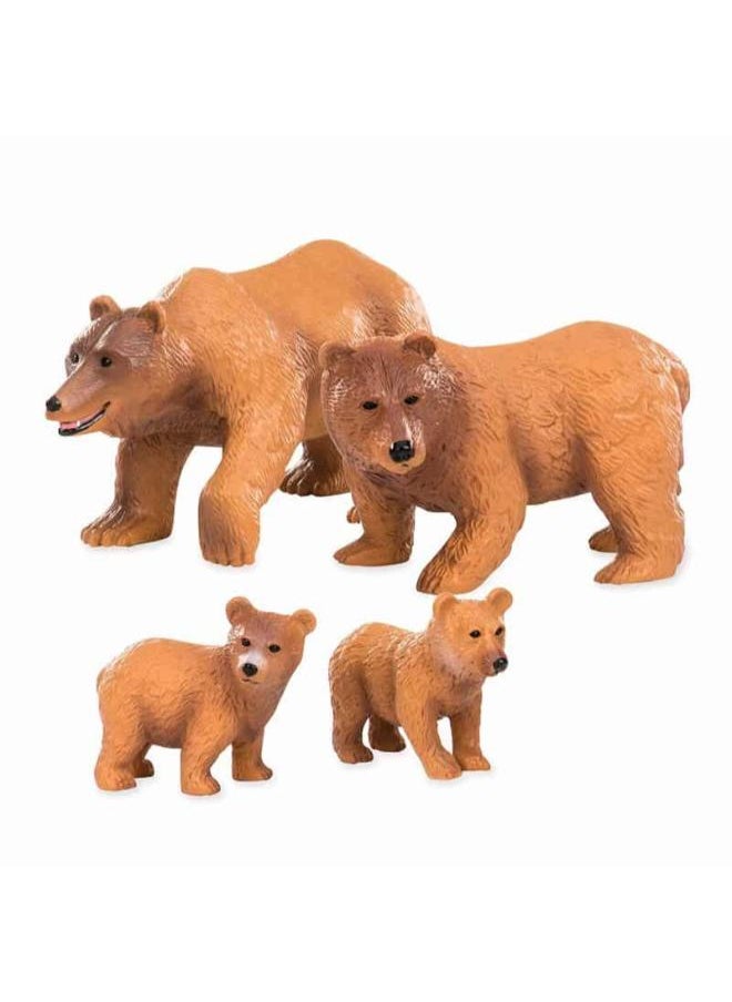 Terra - BROWN BEAR FAMILY - Image 1