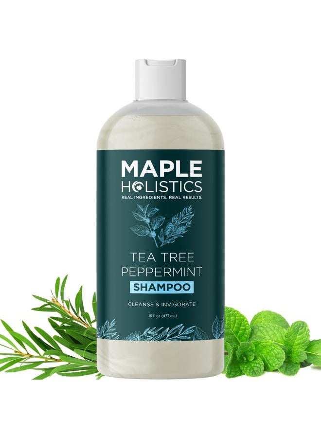 Maple Holistics Rosemary Tea Tree Mint Shampoo - Clarifying Shampoo for Build Up and Flakes with Peppermint Oil and Tea Tree Essential Oil for Dry Scalp Treatment - Deep Cleansing Peppermint Tea Tree (16oz) - Image 1