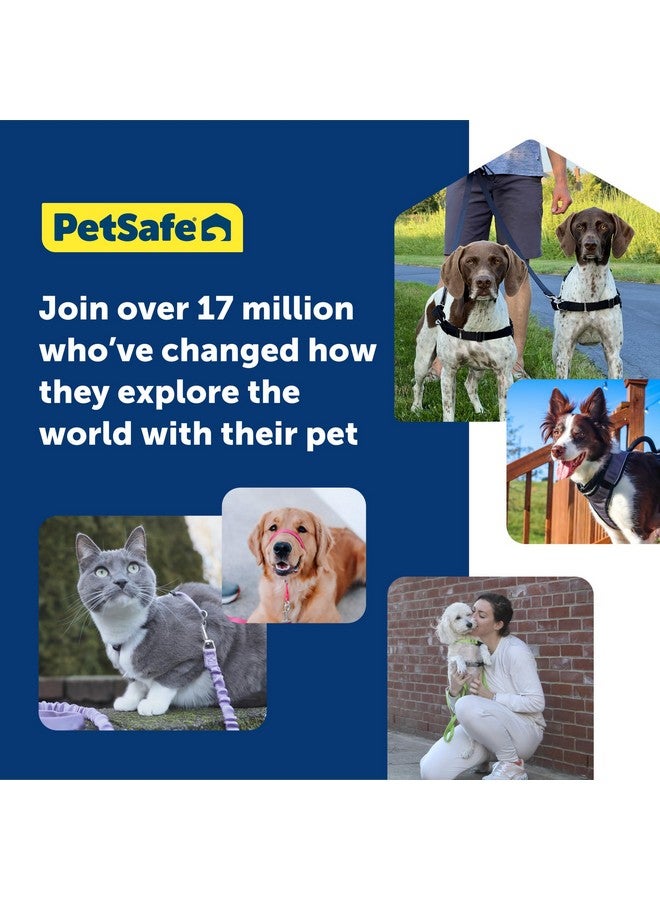 بيت سيف حزام PetSafe Easy Walk No-Pull للكلاب - الحزام الأمثل للمساعدة في منع السحب - تحكم في المقود وعلّمه آدابًا أفضل - يساعد في منع سحب الحيوانات الأليفة أثناء المشي، مقاس كبير جدًا، أسود/فضي - Image 4