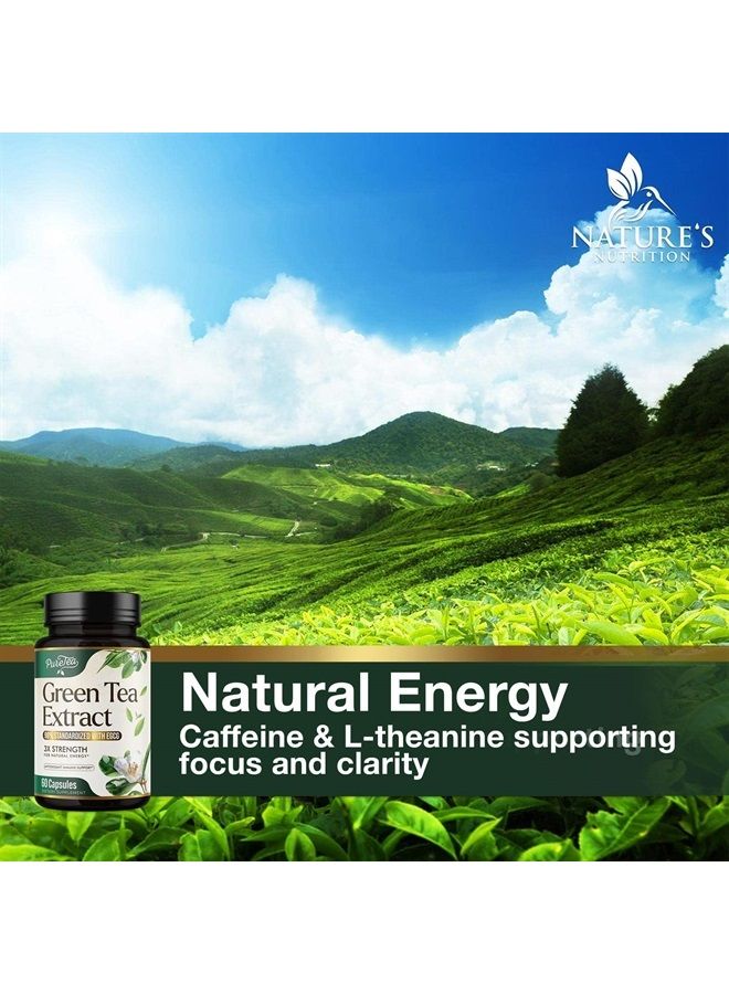 SilverOnyx Green Tea Extract Capsules with 98% Standardized EGCG - 3X Absorption Green Tea Pills 1000mg for Natural Energy - Heart Support with Polyphenols and Antioxidants, Gentle Caffeine - 60 Capsules - Image 5
