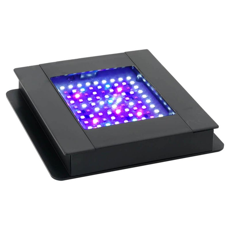 Fluval SEA Marine Nano LED Aquarium Lighting with Bluetooth, 20 Watts,Glass - Image 3