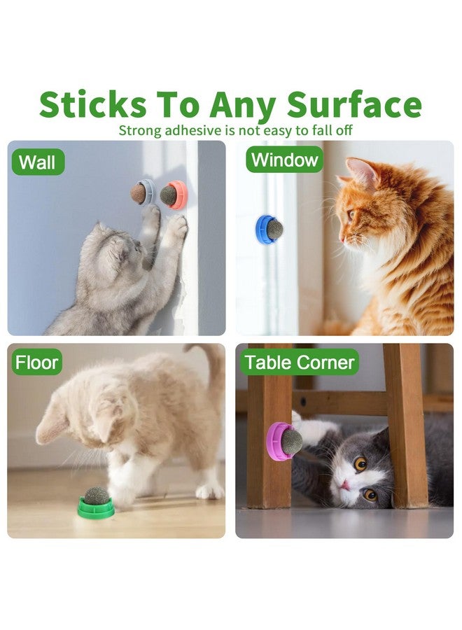 CCINEE 6PCS Catnip Balls for Cats Wall Catnip Toys Edible Cat Toys for Cat Lick Safe Healthy Kitten Chew Toys Teeth Cleaning Dental Cat Toys - Image 5