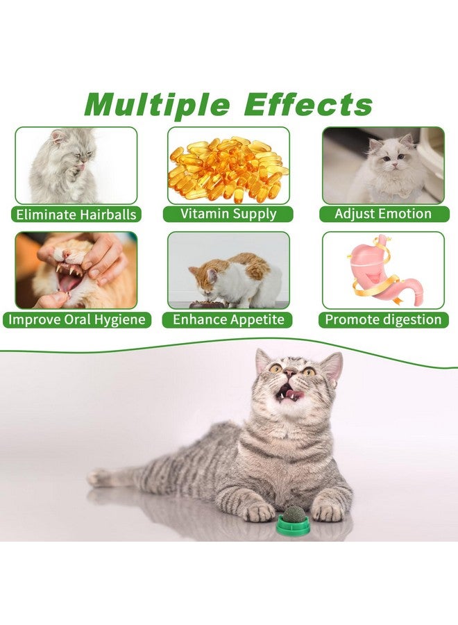 CCINEE 6PCS Catnip Balls for Cats Wall Catnip Toys Edible Cat Toys for Cat Lick Safe Healthy Kitten Chew Toys Teeth Cleaning Dental Cat Toys - Image 4