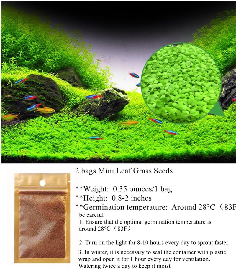 LUKAWES 2 Pack Aquarium Plants for Fish Tank, Easy Growing, Real Carpet Decor for Fish Tank/Terrarium - Image 4