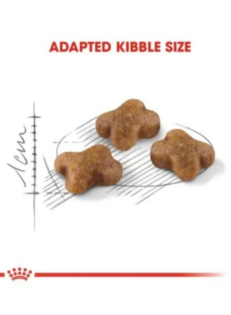 Royal Canin dry food for kittens - Kitten 400GRAM - Image 3