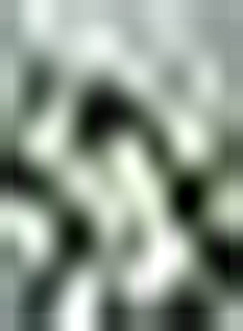 GGOOT 5pcs Witte Zephyranthes Bollen Lang Bloeiende Mooie Bloemen Lange Frisse Geur Populaire Bloemvariëteiten Gemakkelijk te Planten Binnen Buiten - Image 1