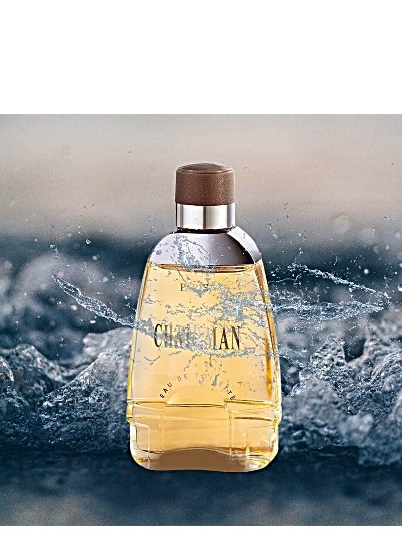 Yves de Sistelle Chairman edt men 100mL - Image 3