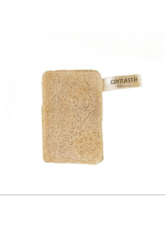 COYRASTH Natural Organic Bath Loofah Sponges, Large Exfoliating Shower Loofah Body Scrubbers Buff Away Dead Skin, Sun Dried Bath Loofah | Body Sponge & Scrubber for Men & Women (Pack of 2) - Image 1