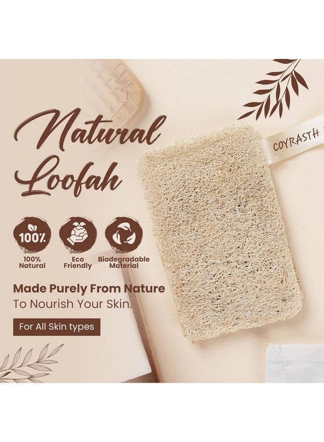 COYRASTH Natural Organic Bath Loofah Sponges, Large Exfoliating Shower Loofah Body Scrubbers Buff Away Dead Skin, Sun Dried Bath Loofah | Body Sponge & Scrubber for Men & Women (Pack of 2) - Image 2