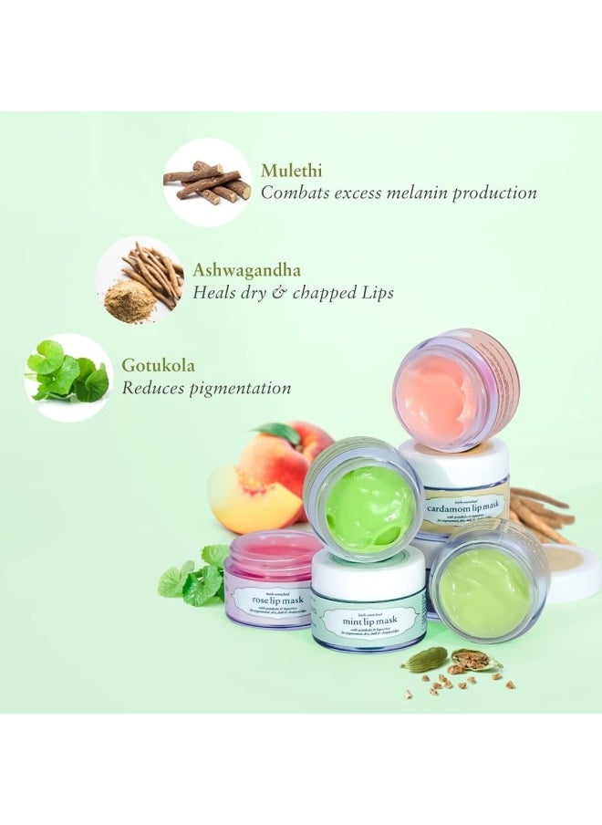 Just Herbs Ayurvedic & Vegan Green Apple Lip Scrub & Lip Mask duo pack for Chapped, Pigmented & Dark lips, 30gm  - Image 5