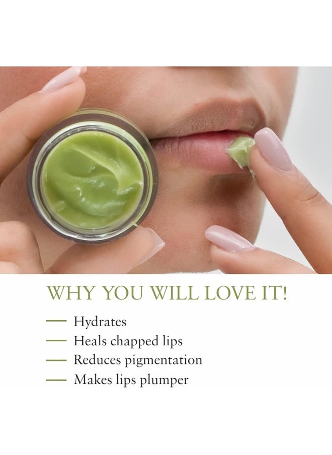 Just Herbs Ayurvedic & Vegan Green Apple Lip Scrub & Lip Mask duo pack for Chapped, Pigmented & Dark lips, 30gm  - Image 4