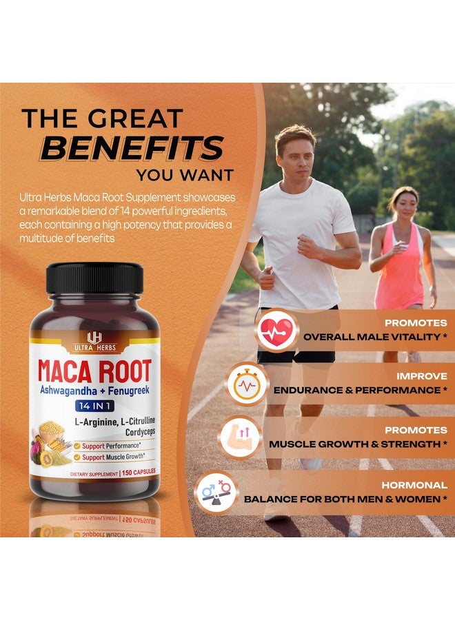 ULTRA HERBS جذر الماكا البيرواني الأسود، الأحمر، الأصفر | كبسولات جذر الماكا المعززة مع الجنسنج، الأشواغاندا، الحلبة | دعم القدرة على التحمل، الأداء والمزاج | 150 كبسولة - Image 4