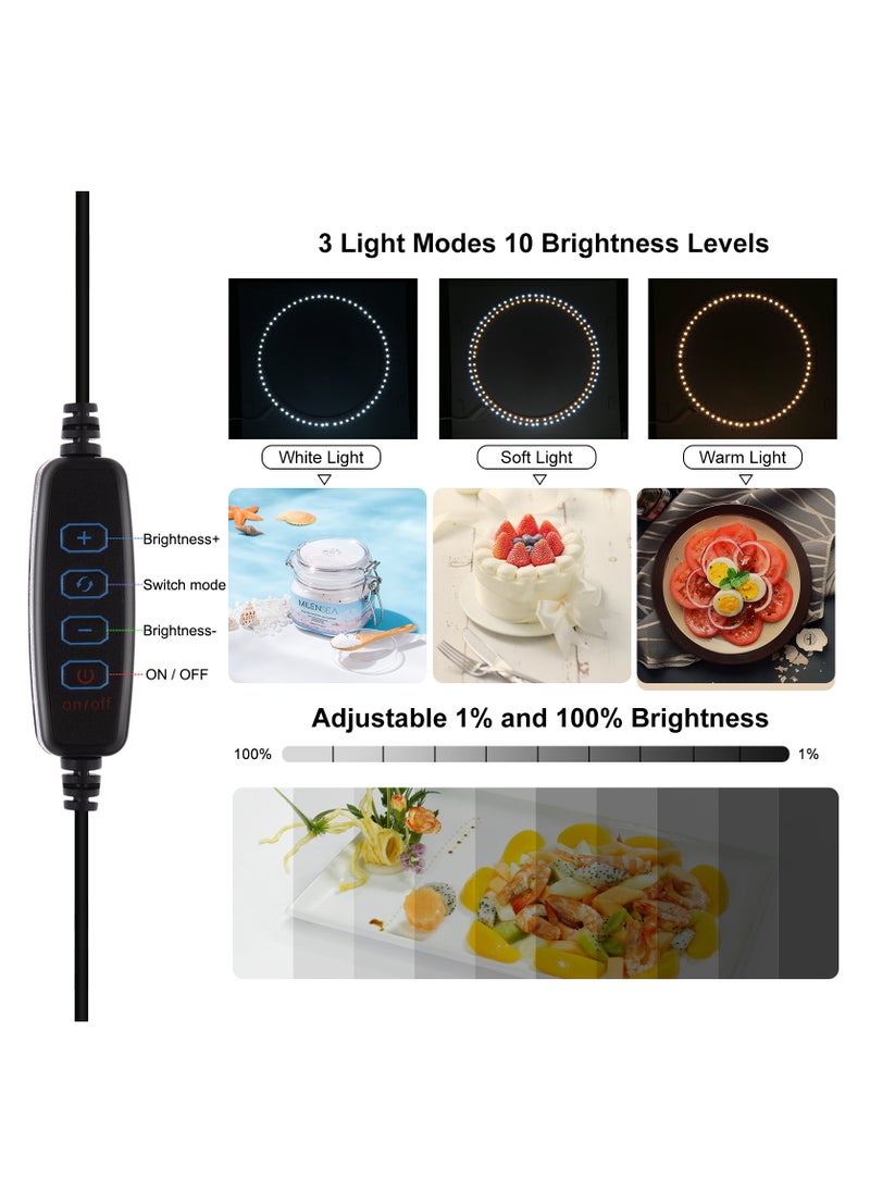 PULUZ 9.8 inch Foldable Portable Photography Shooting Box,Photo Lighting Studio with 3 Modes Dual Color Temperature Ring Light and 12 Color Backdrops  - Image 3