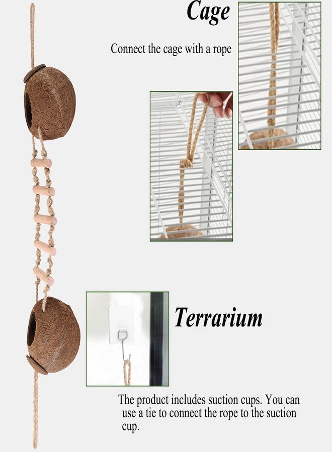HERCOCCI Gecko Tank Accessories, Hermit Crab Toys Double Coconut Shell Natural Coconut Husk Hut with Climbing Ladder with Suction Cup for Leopard Gecko Snake Reptiles - Image 4