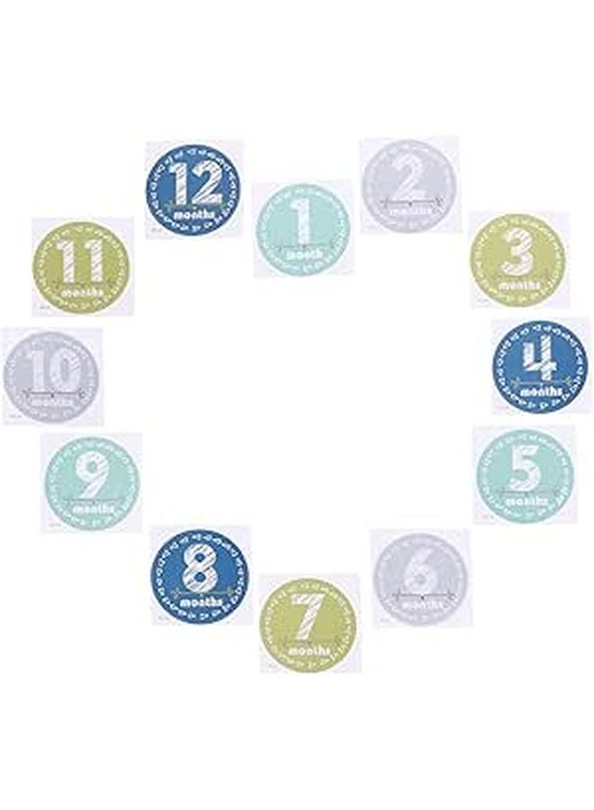Newborn Monthly Photo Props Stickers Set For Boys Girls First Year Growth Keepsake - Image 1