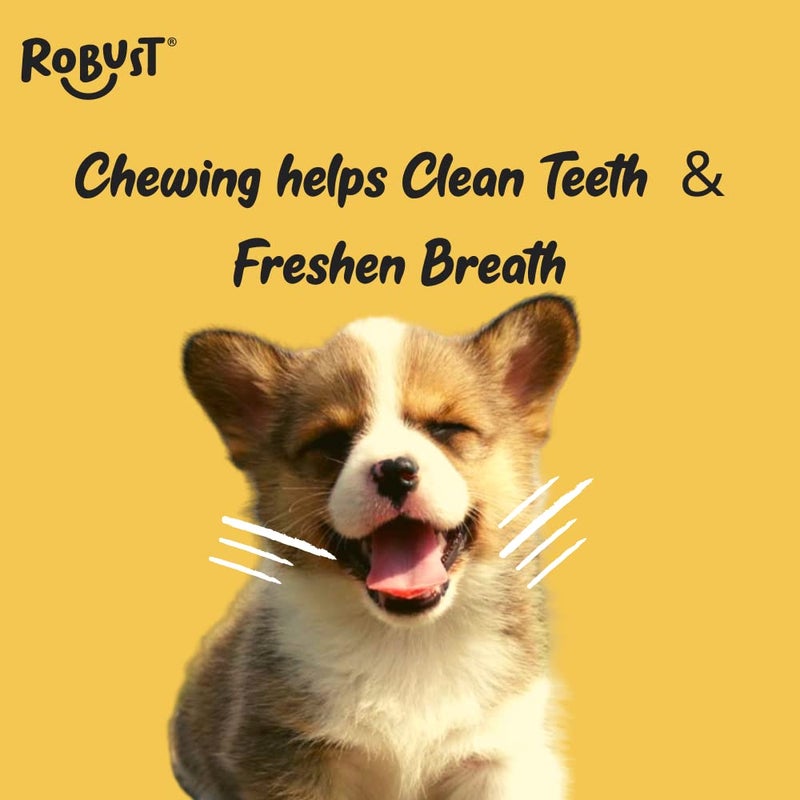 ROBUST Long Lasting All-Natural Dog Chew Bones - 5 inches (12units) | Premium Compressed Rawhide Chews for Small, Medium & Large Dogs | Healthy & Digestible Rawhide Bones to Improve Oral Health - Image 5