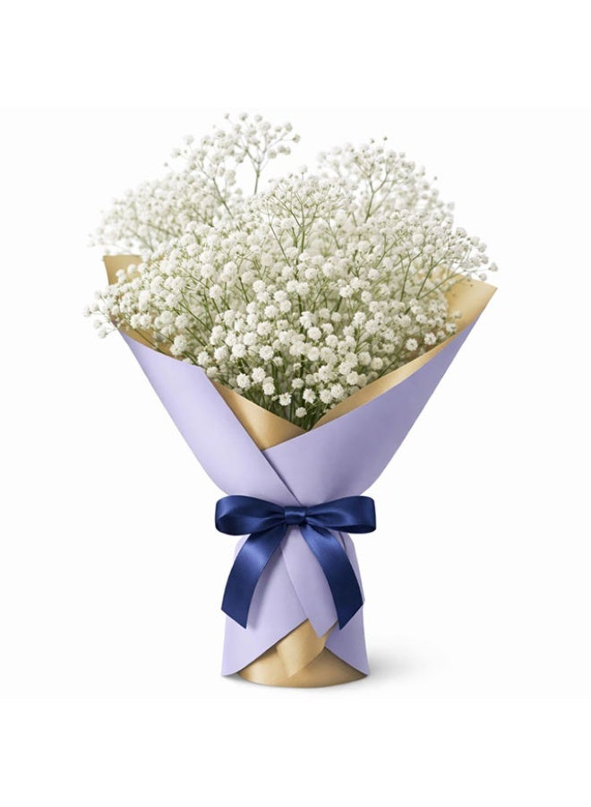 Gypsophila , White - 15 Stems, Kenya