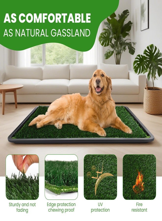 FURWEY FURWAY Dog Grass Pad with Tray Artificial Grass Puppy Pee Pad for Dogs, Reusable 4-Layer Training Potty Pad with Tray, Quick Absorbent Indoor & Outdoor Portable Dog Patio Potty ( 35.4"x23.6") - Image 5