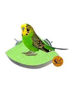 Sage Square Playful Natural Wood Sand Perch Platform Cage Toy For Parrot, Budgies, Cockatiel, Lovebird, Budgerigar, Sun Conure, Finch, African Grey, Canary, Cockatoo, Macaw Birds (4")  - Image 1