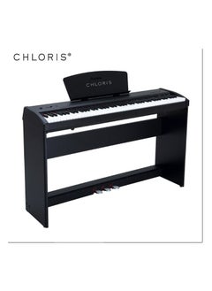 CHLORIS 88 Keys CHLORIS CDU-45 with hammer action  - Image 1